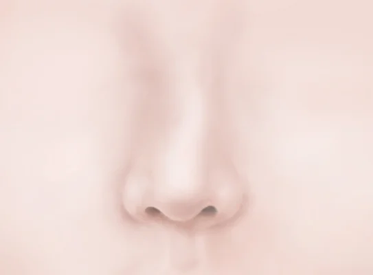 관련 콘텐츠 이미지