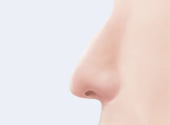 관련 콘텐츠 이미지