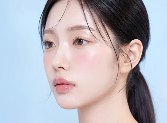 관련 콘텐츠 이미지